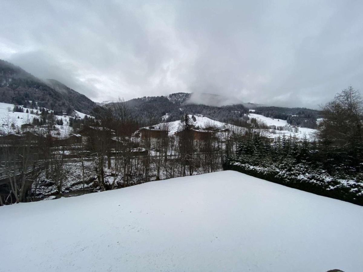 Studio Cabine A Praz-Sur-Arly - 4 Pers, Parking, Proche Centre Et Pistes - Fr-1-603-32 Экстерьер фото