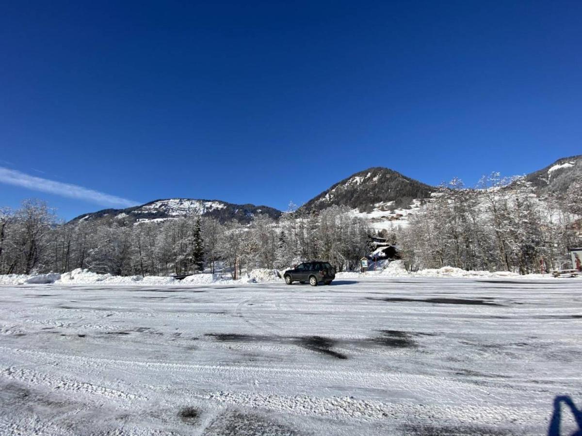 Studio Cabine A Praz-Sur-Arly - 4 Pers, Parking, Proche Centre Et Pistes - Fr-1-603-32 Экстерьер фото